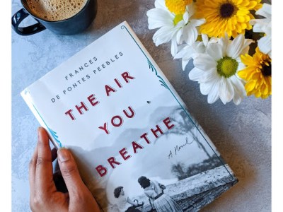 The Air You Breathe by francis de pontes&nbsp;Peebles
